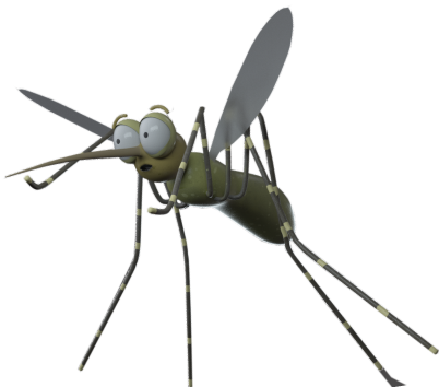 mosquito